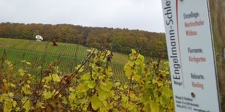 Weingut Engelmann-Schlepper