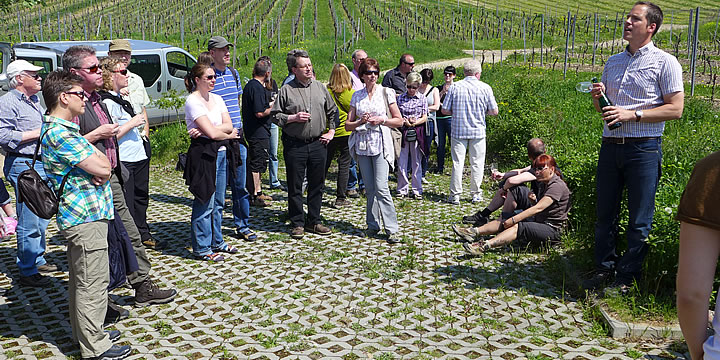 Weinprobe in den Weinbergen